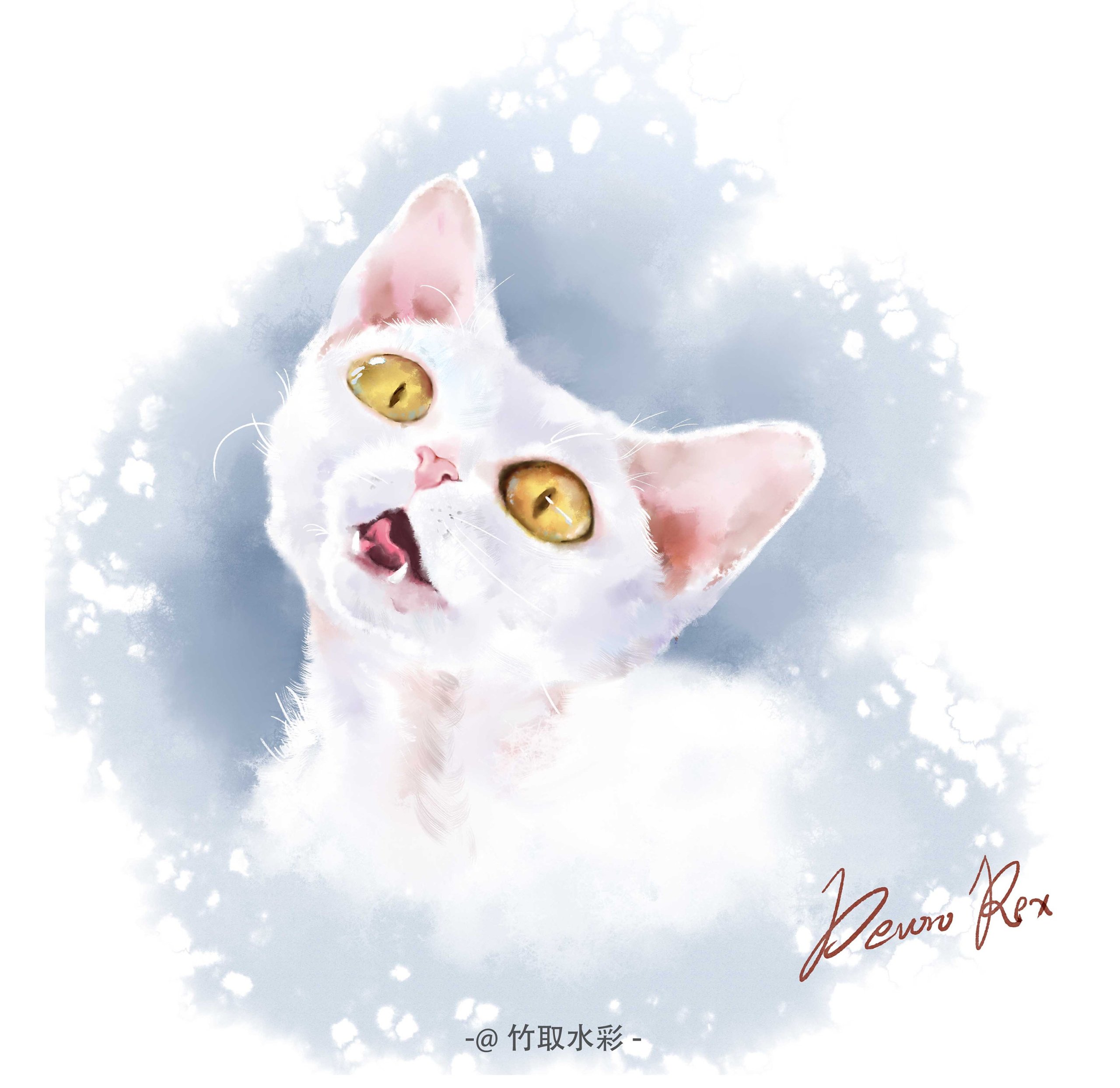 Thoro-公益星球